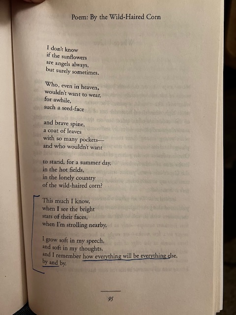 Image of poem, "By the Wild-Haired Corn" from Mary Oliver's book, Long Life. 