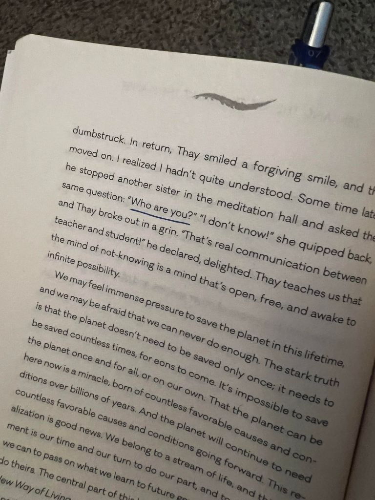 Page 36 of Zen and the Art of Saving the Planet, with "Who are you?" underlined in black ink.