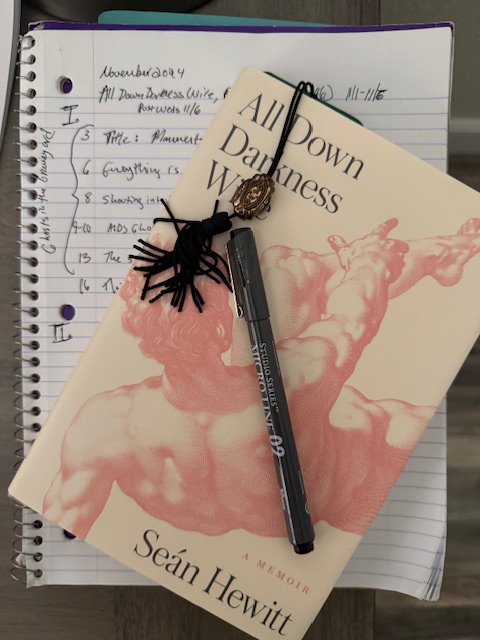 Black pen atop hardcover book, atop spiral notebook with notes in black ink. 